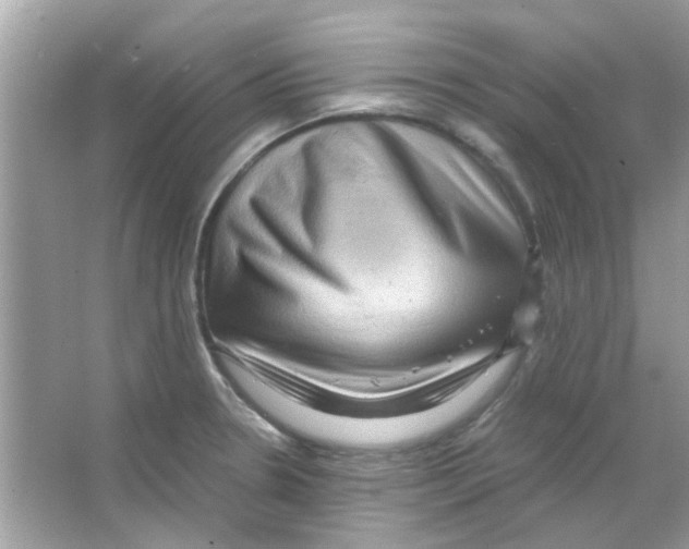 X0000066001330200603311947