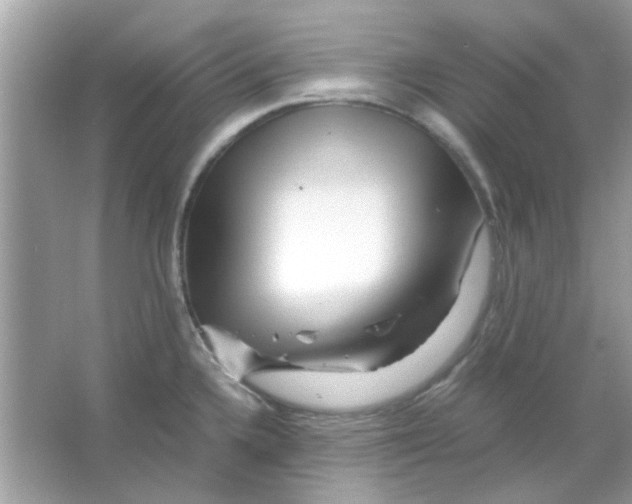 X0000066001336200603311947