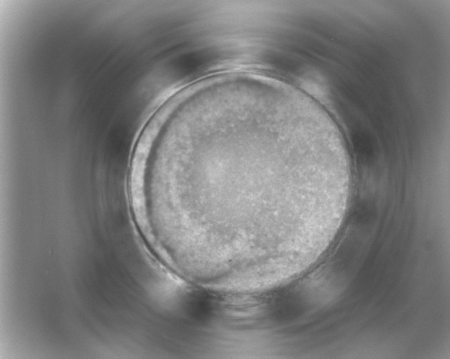 X0000066001338200603311947