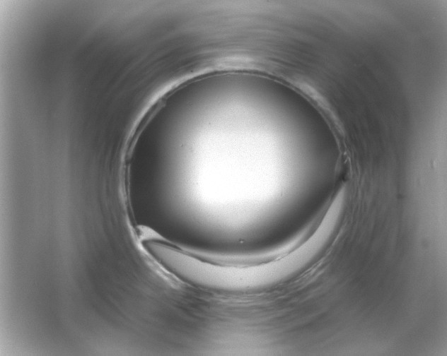 X0000066001342200603311947