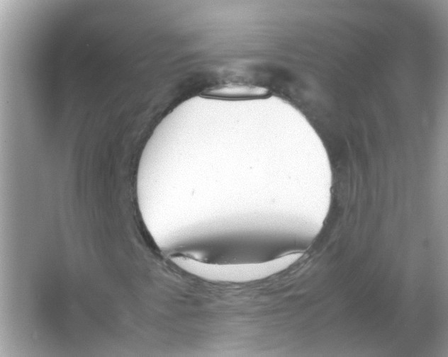X0000066001345200603311946