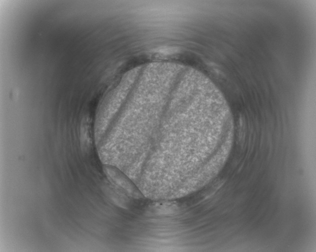 X0000066001346200603311946