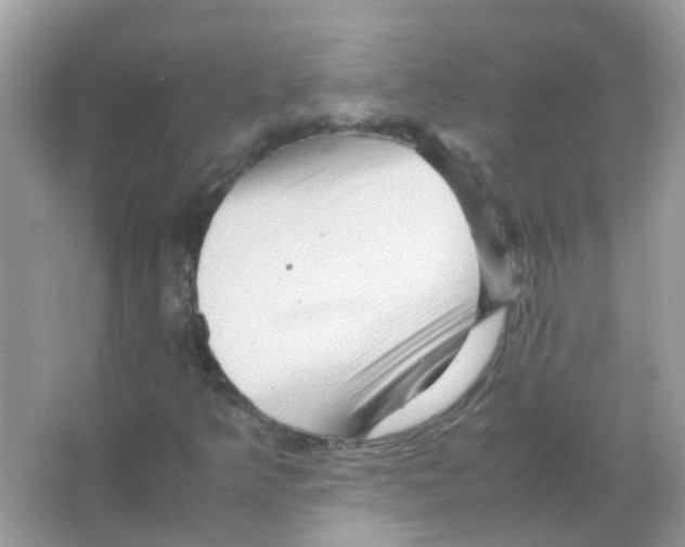 X0000066001349200603311946