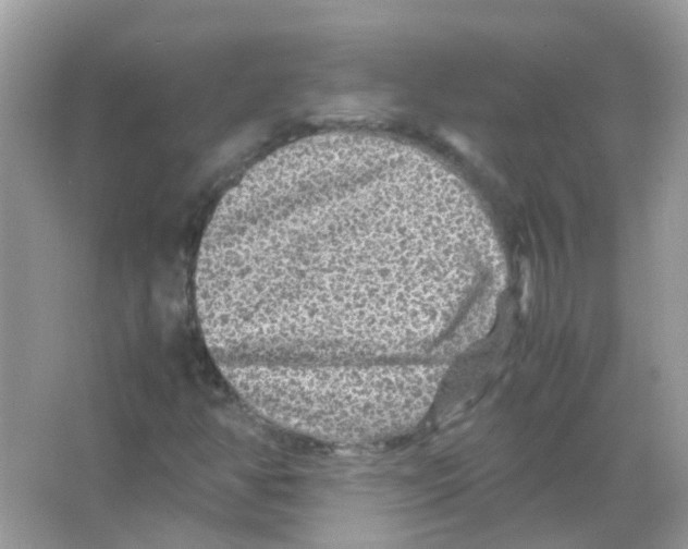 X0000066001350200603311946