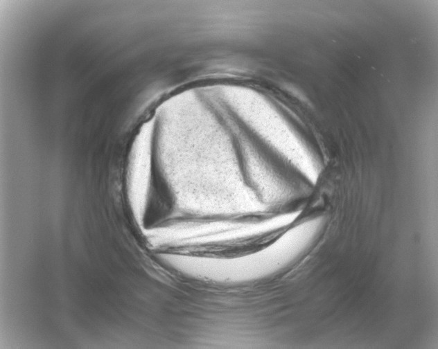 X0000066001355200603311946