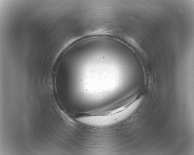 X0000066001356200603311946