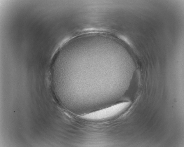 X0000066001357200603311946