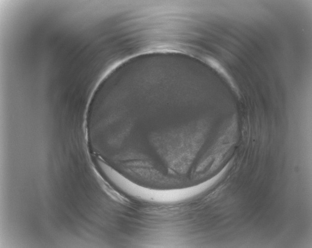 X0000066001372200603311946