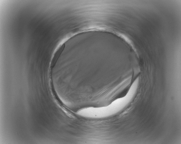 X0000066001373200603311946
