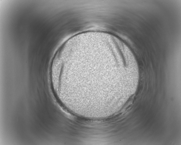 X0000066001375200603311946
