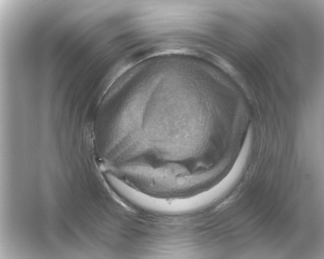 X0000066001377200603311946