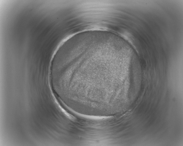 X0000066001379200603311946