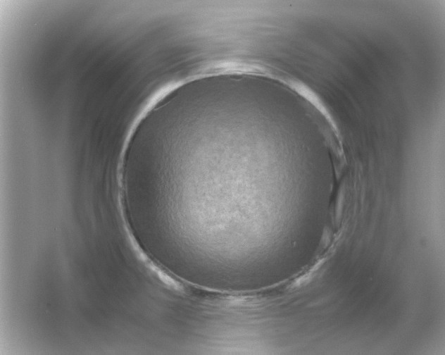 X0000066001381200603311946