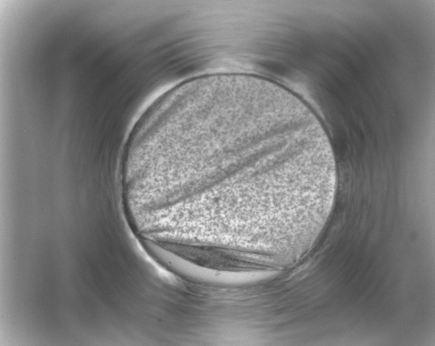 X0000066001387200603311945