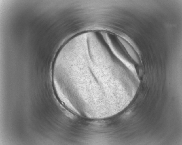 X0000066001388200603311945