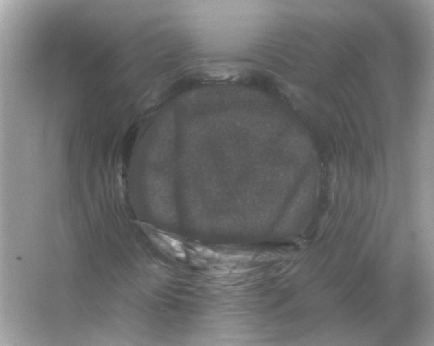 X0000066001394200603311945