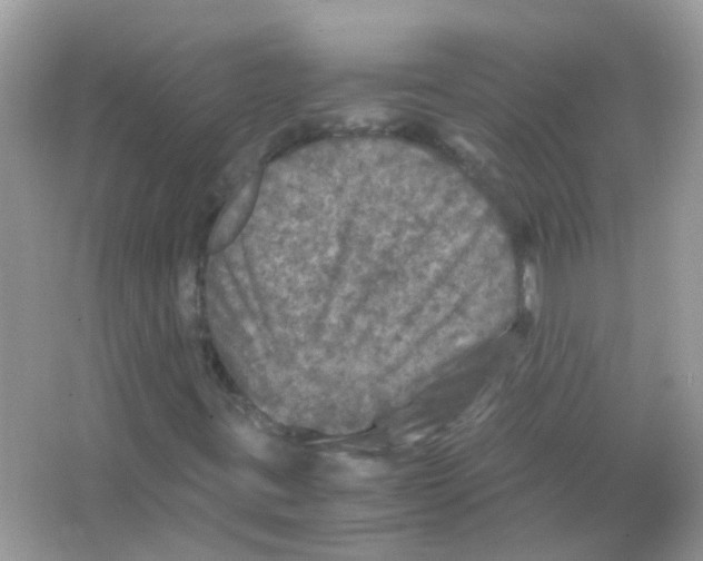 X0000066001395200603311945