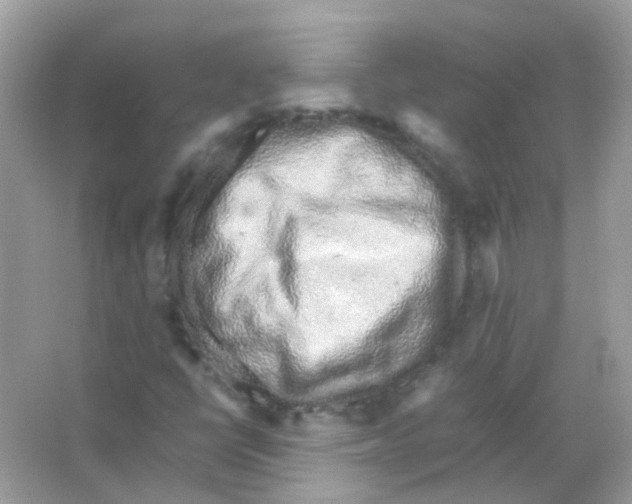 X0000066001398200603311945