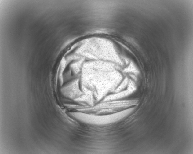 X0000066001404200603311945