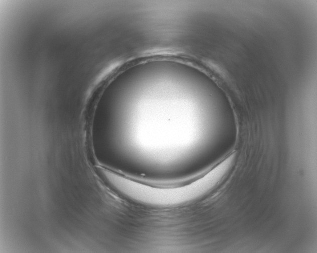 X0000066001406200603311945