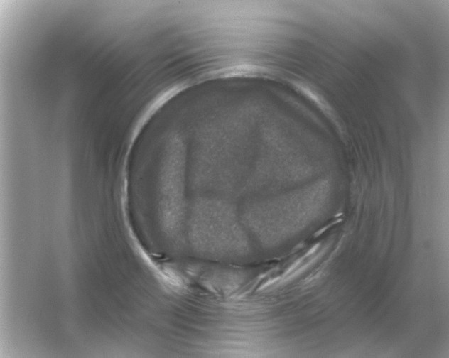 X0000066001418200603311945