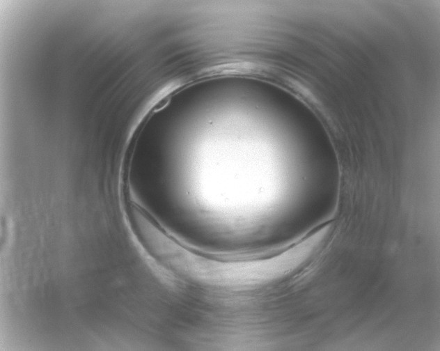 X0000066001426200603311945