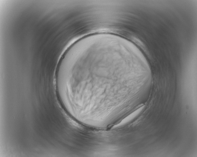 X0000066001428200603311945