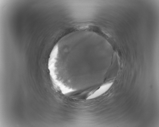 X0000066001441200603311945