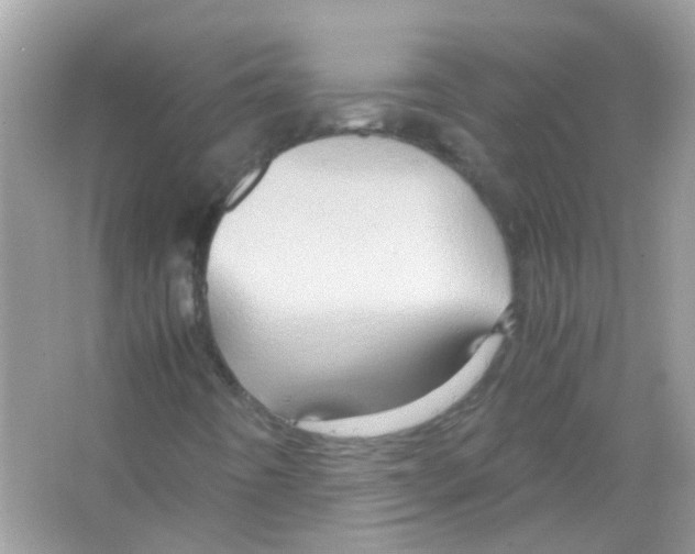 X0000066001442200603311944