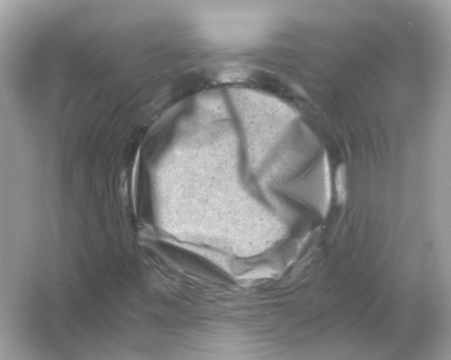 X0000066001443200603311944