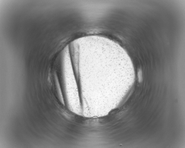 X0000066001444200603311944