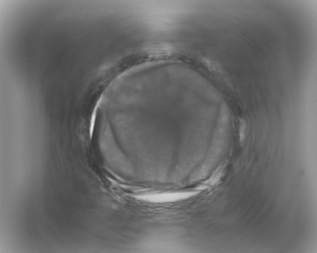 X0000066001445200603311944
