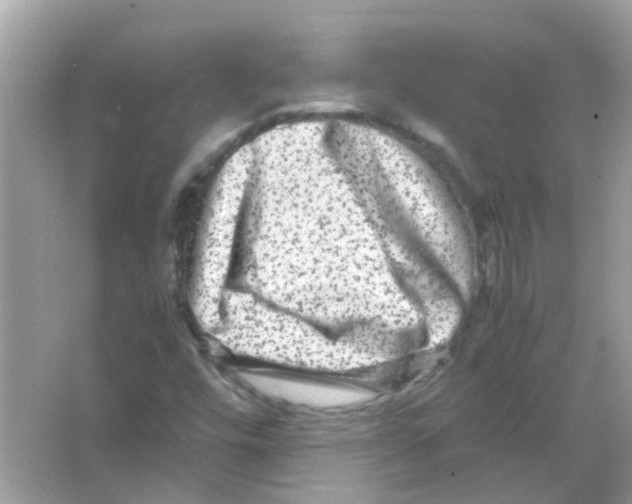 X0000066001448200603311944