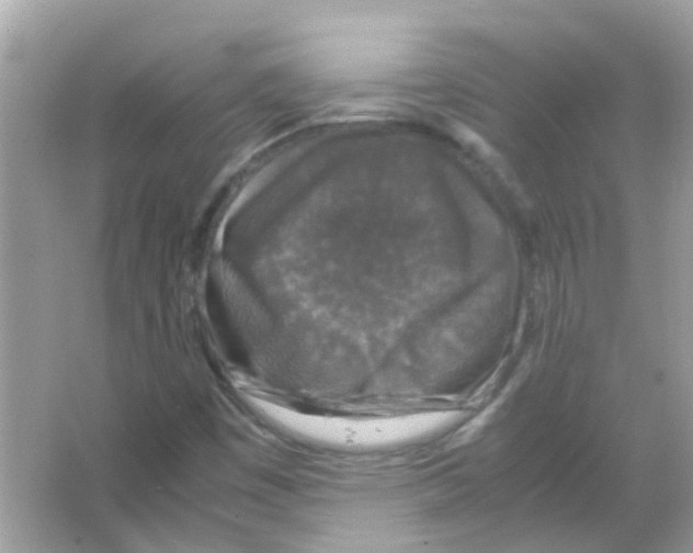 X0000066001449200603311944