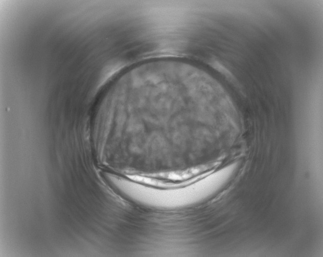 X0000066001450200603311944