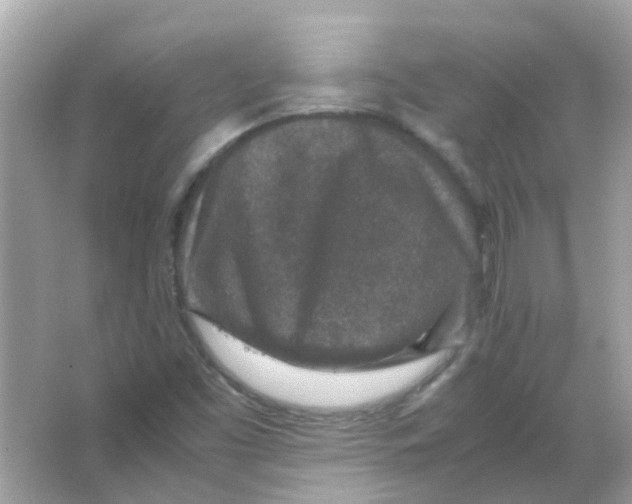 X0000066001453200603311944