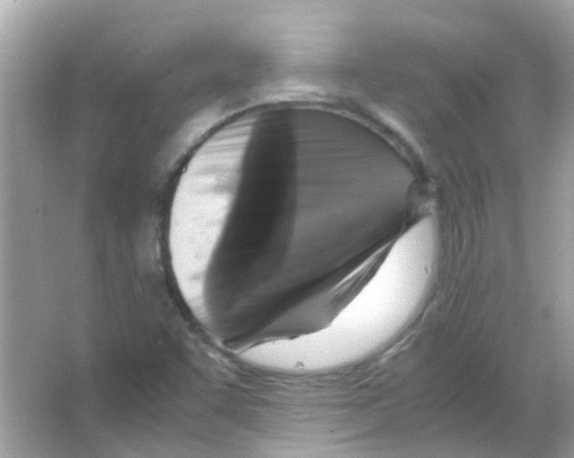 X0000066001455200603311944