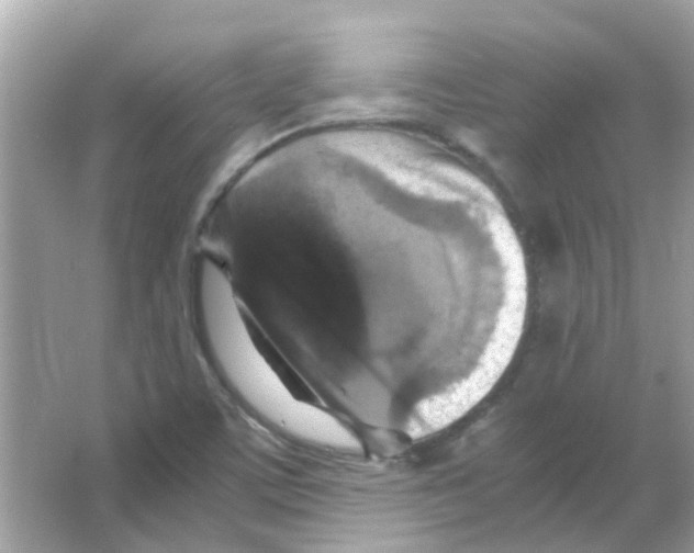 X0000066001459200603311944