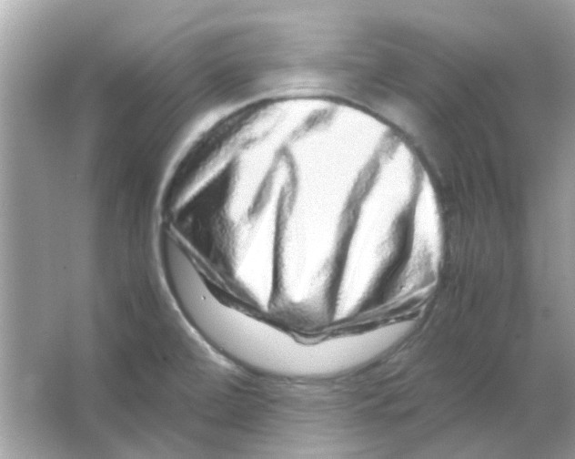 X0000066001472200603311944