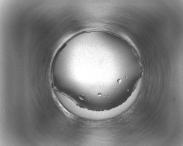 X0000066001485200603311944