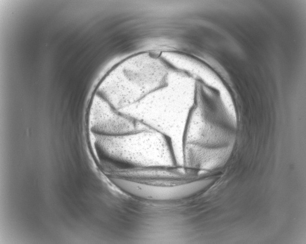 X0000066001488200603311944