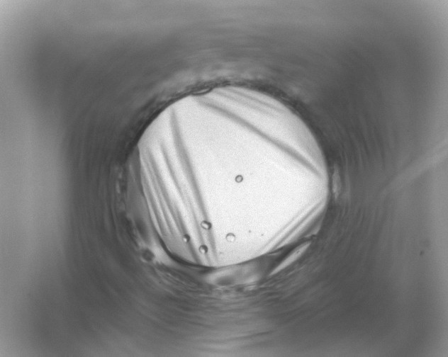 X0000066001492200603311943