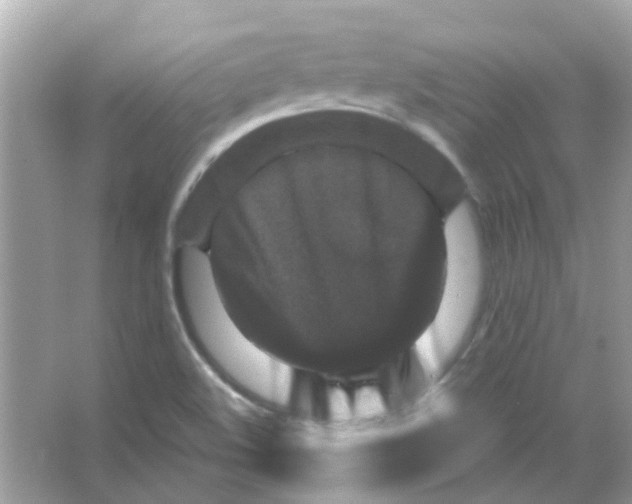 X0000066001508200603311943