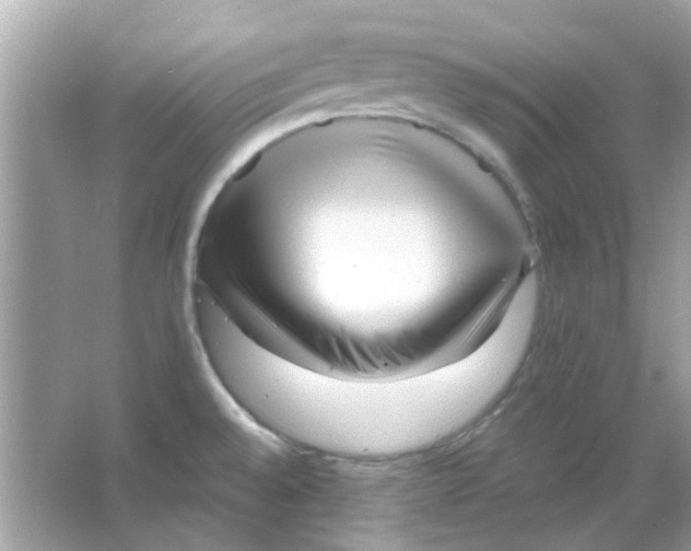 X0000066001528200603311944