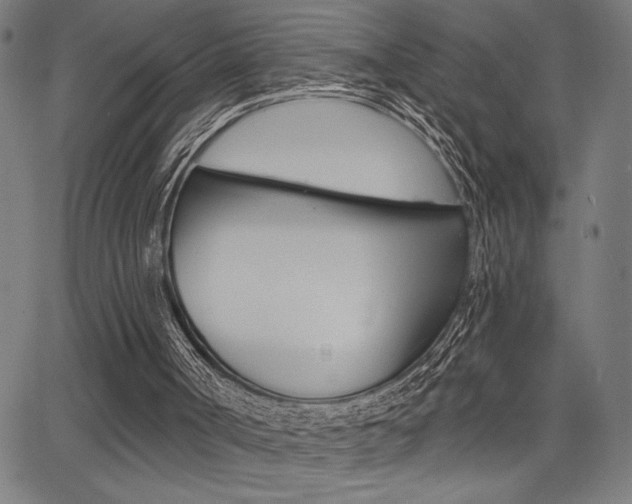 X0000066010002200603031015