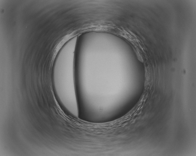 X0000066010003200603031015