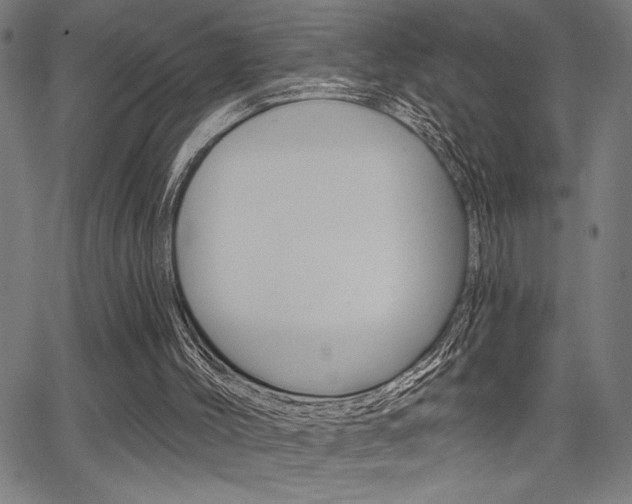 X0000066010004200603031015