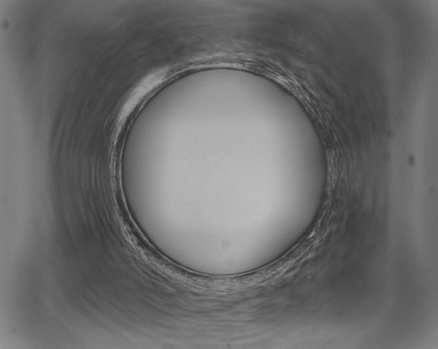 X0000066010006200603031015