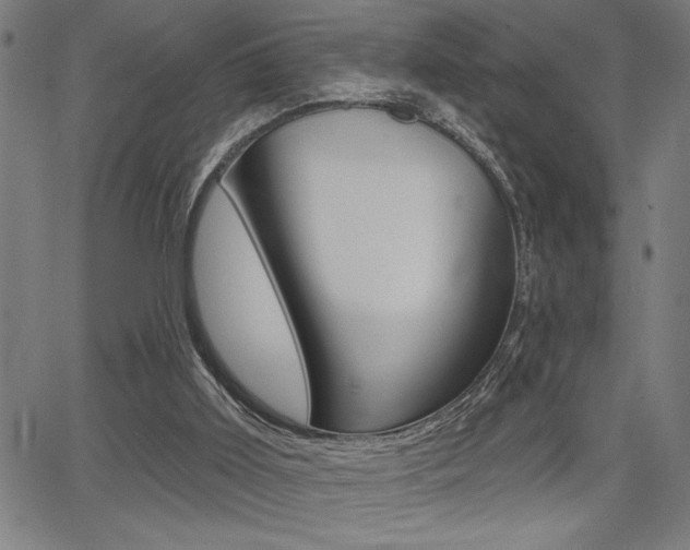 X0000066010011200603031015