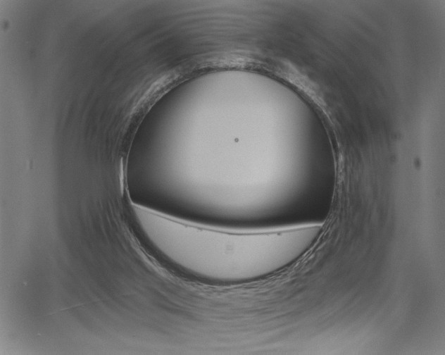 X0000066010013200603031015